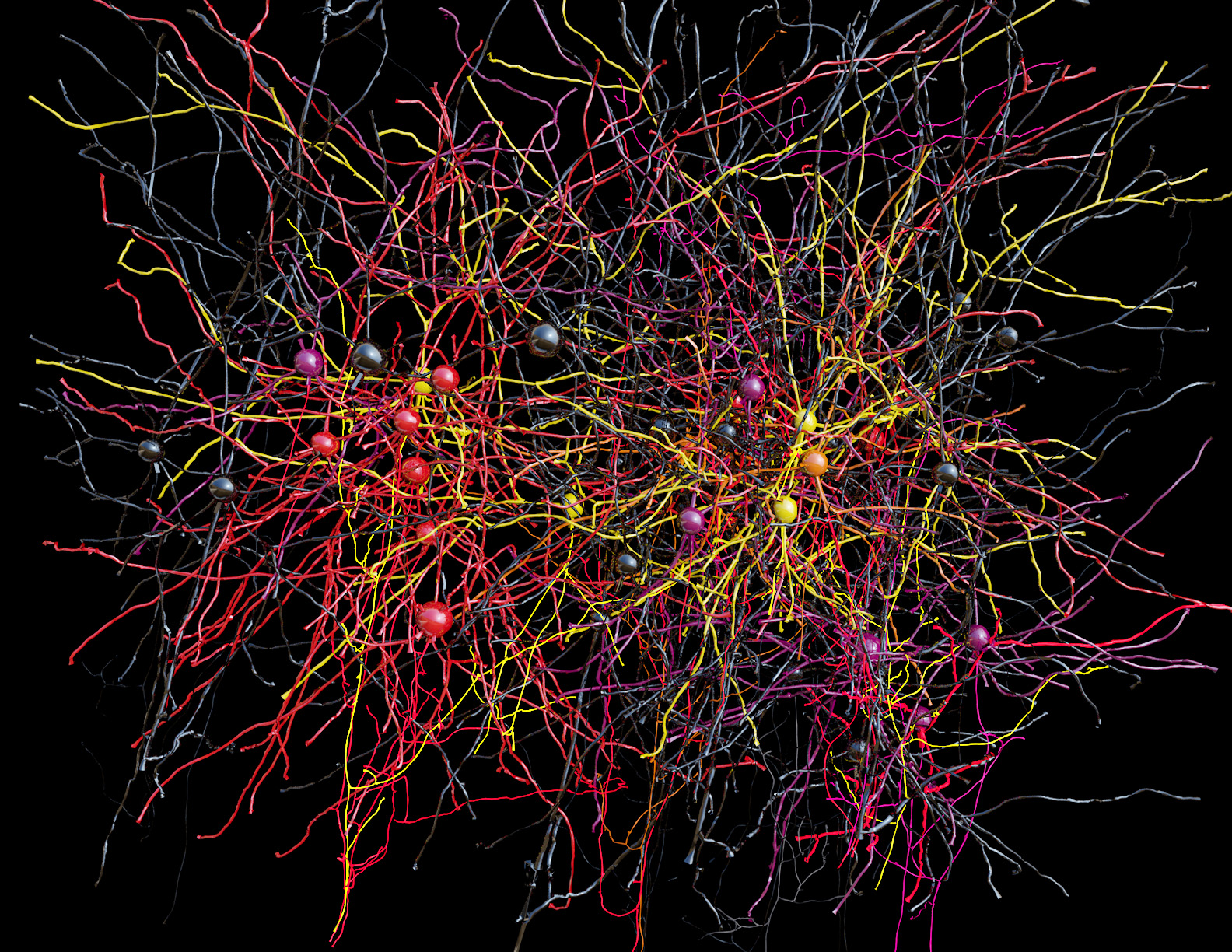 Comic Log Scientists straighten out a tangle of brain cells – Cosmic Log