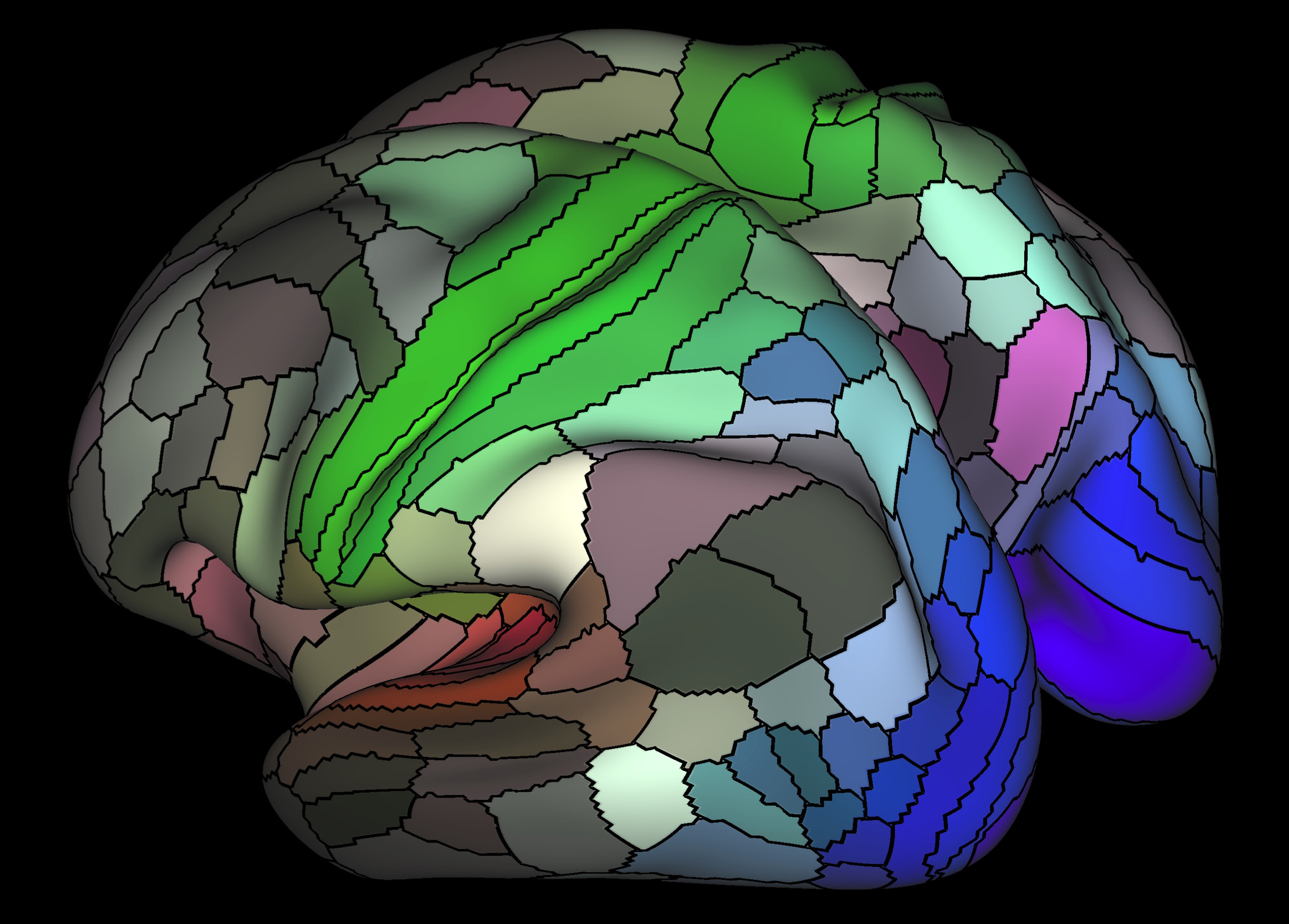 This new map doubles the brain’s domains – Cosmic Log